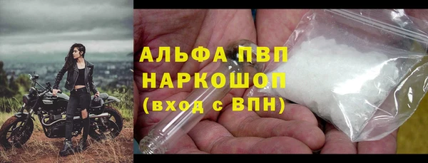 соль ск Белокуриха