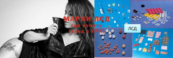 стаф Белоозёрский