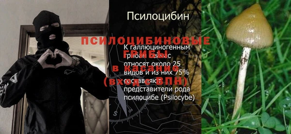 гашиш Беломорск