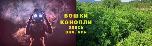 стаф Белоозёрский