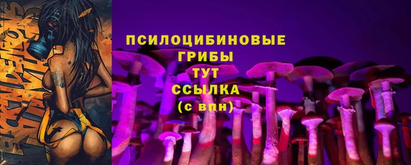 соль ск Белокуриха