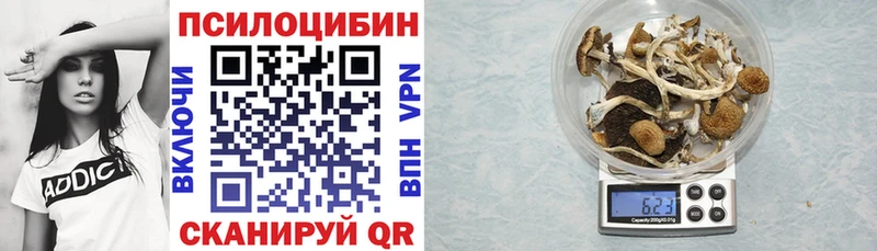 Галлюциногенные грибы Psilocybine cubensis  Верея 