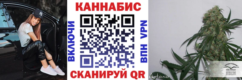 МАРИХУАНА White Widow mega как войти Верея